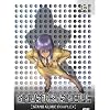Ghost in the Shell - Stand Alone Complex, Vol. 05