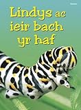 Lindys ac ieir bach yr haf