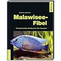 Malawisee-Fibel Farbenpr�chtige Buntbarsche f�rs Aquarium