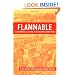 Flammable: Environmental Suffering in an Argentine Shantytown