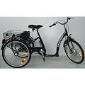 Elektro Dreirad Lanztec Elektro Therapie-Dreirad 7 Gang Shimano Nabenschaltung mit R�cktrittbremse