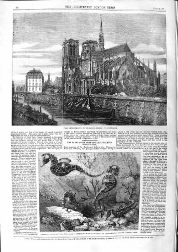 1859 PARIS NOTRE DAME SPIRE SHORT-NOSED SEAHORSE ZOO