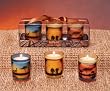 Pack of 18 Safari Serengeti Votive Candles - Jungle Nights Scented