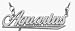 10K White Gold Aquarius Script Zodiac Pendant Jan 21-Feb 19 with 16