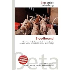 Bloodhound