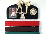 Martial arts belt display with a KICK ! Midn. trophy dbl.