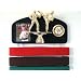 Martial arts belt display with a KICK ! Midn. trophy dbl.