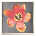 Sunshine Tulip on Canvas by Clark - 16x16"