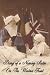 Diary of a Nursing Sister on the Western Front 1914-1915