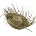 51rfHg1ZefL. AA75  Bird Nest Hats Straw