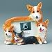 Pembroke Welsh Corgi 4