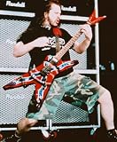 PANTERA 24x36 COLOR POSTER PRINT