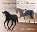 Nature, Nurture, and Horses: A Journal of Four Dressage Horses in Training-From Birth Through the First Year of Training