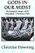 Gods in Our Midst: Mythological Images of the Masculine--A Woman's View by Christine Downing