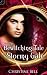 Books : The Bewitching Tale of Stormy Gale