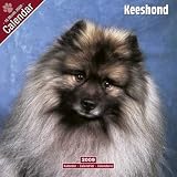 Keeshond 2009 Wall Calendar 12 X 12