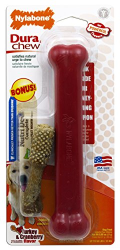 Nylabone Holiday Dura Chew Giant Turkey and Cranberry Flavored Red Bone Bonus Dog Chew Toy