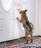 The CLAWGUARD - The Ultimate Door Scratch Shield - Door and Door Frame Protection