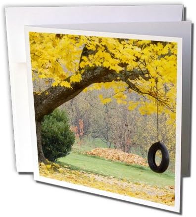 Danita Delimont - Oregon - Oregon, Hood River, tire swing, tree branch - US38 BJA0680 - Jaynes Gallery - 6 Greeting Cards with envelopes (gc_93683_1)
