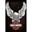 (24x36) Harley Davidson (Eagle Logo) Art Poster Print