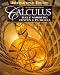 Book Calculus and Analytic Geometry