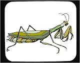 Mouse Pad with green, insect, crawling, mantis, wings, praying