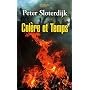 Colère et Temps : Essai politico-psychologique