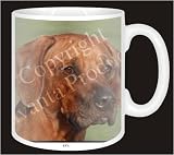 Review Advanta  / RHODESIAN RIDGEBACK DOG Coffee Mug