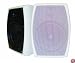 AudioSource LS62W 6.5-Inch Two-Way Indoor/Outdoor Speakers (Pair) (White)