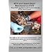 ATV and Quad Basic Maintenance DVD