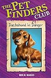 Dachshund in danger