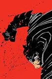 Batman: The Dark Knight Returns/The Dark Knight Strikes Again (absolute edition)