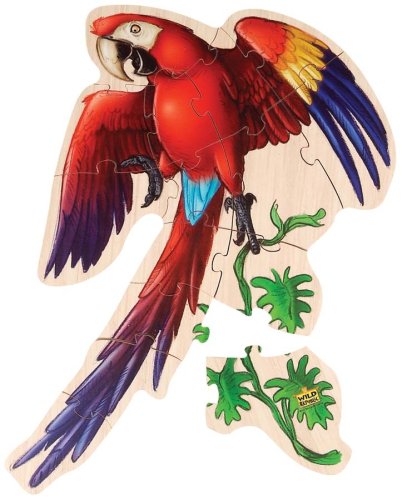 51rgdR9PWxL Scarlet Macaw Wooden Floor Puzzle