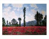 Claude Monet - Campo Di Papaveri Poster Kunstdruck (50 x 40cm)