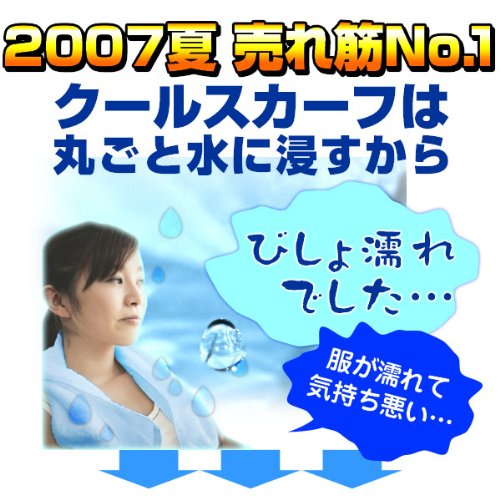 在庫限り【2008年版】クールビビ（COOL BiBi）CB-02 チェック　ホワイト