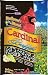 F.M. Brown's Bird Lover's Blend Cardinal Buffet Wild Bird Food, 7-Pound