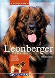 Leonberger: Charakter, Erziehung, Gesundheit