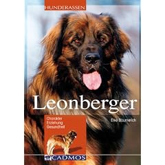 Leonberger: Charakter, Erziehung, Gesundheit