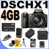 Sony Cybershot DSC-HX1 9.1MP Digital Camera w/20x Optical Zoom 4GB BigVALUEInc Accessory Saver FH50 Battery/Charger Bundle