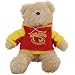 Iowa State Cyclones 8'' Plush Hoodie Bear