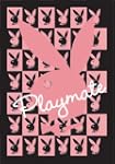 Empire 149572 Playboy - Playmate Bunn...