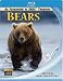 IMAX Bears - Blu-Ray Disc [Blu-ray] [2001]