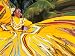 Dancers Performing in Costume, Costa Maya, Mexico Photographic Poster Print by Bill Bachmann, 40x30