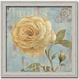 Vintage Fragrance III Chic Shabby Floral By Daphne B Art Print Poster Picture Framed Decor 14X14