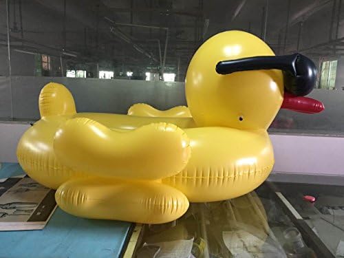 MarlJohns Inflatable Pool Float Horse Duck