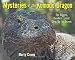 Mysteries of the Komodo Dragon: The Biggest, Deadliest Lizard Gives Up Its Secrets