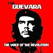 Voice of the Revolution