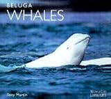 Beluga whales