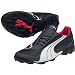 Sporting Goods : Puma Men's V5.08 TT Turf