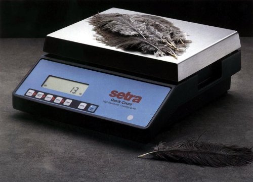 Quick Count 2.5kg/5.5lb x .02g Hi Resolution Digital Counting Scale